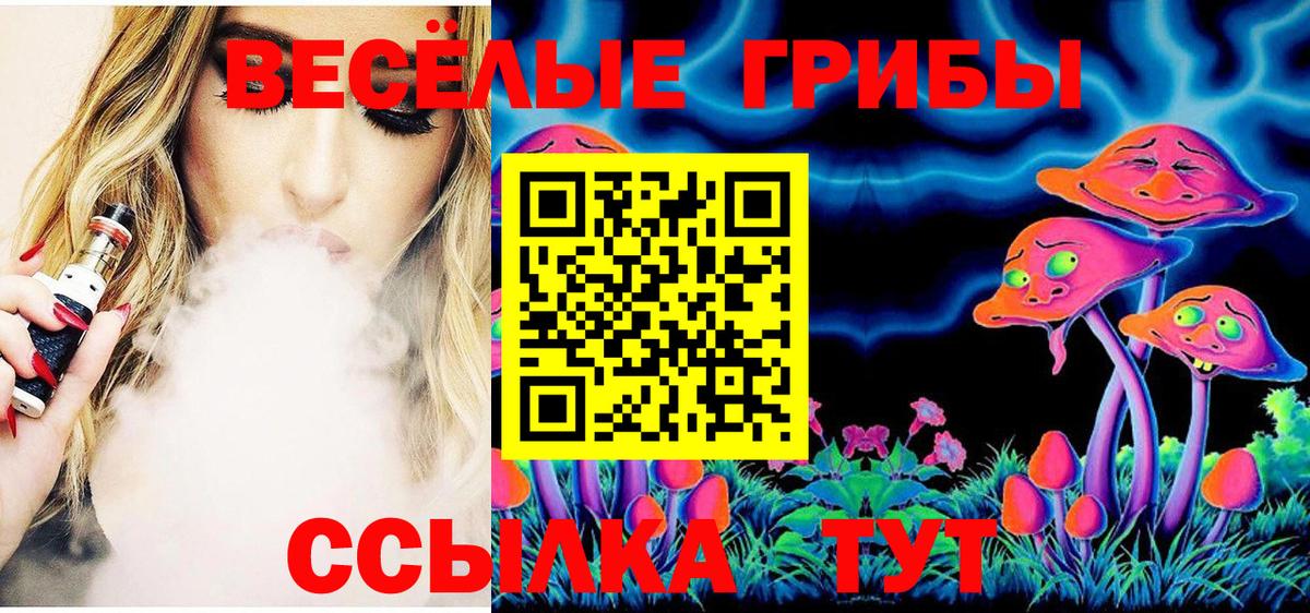 Грозный  где купить наркоту  Вход с VPN  Псилоцибиновые грибы ЛСД 