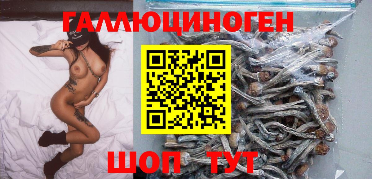 Псилоцибиновые грибы мухоморы Грозный